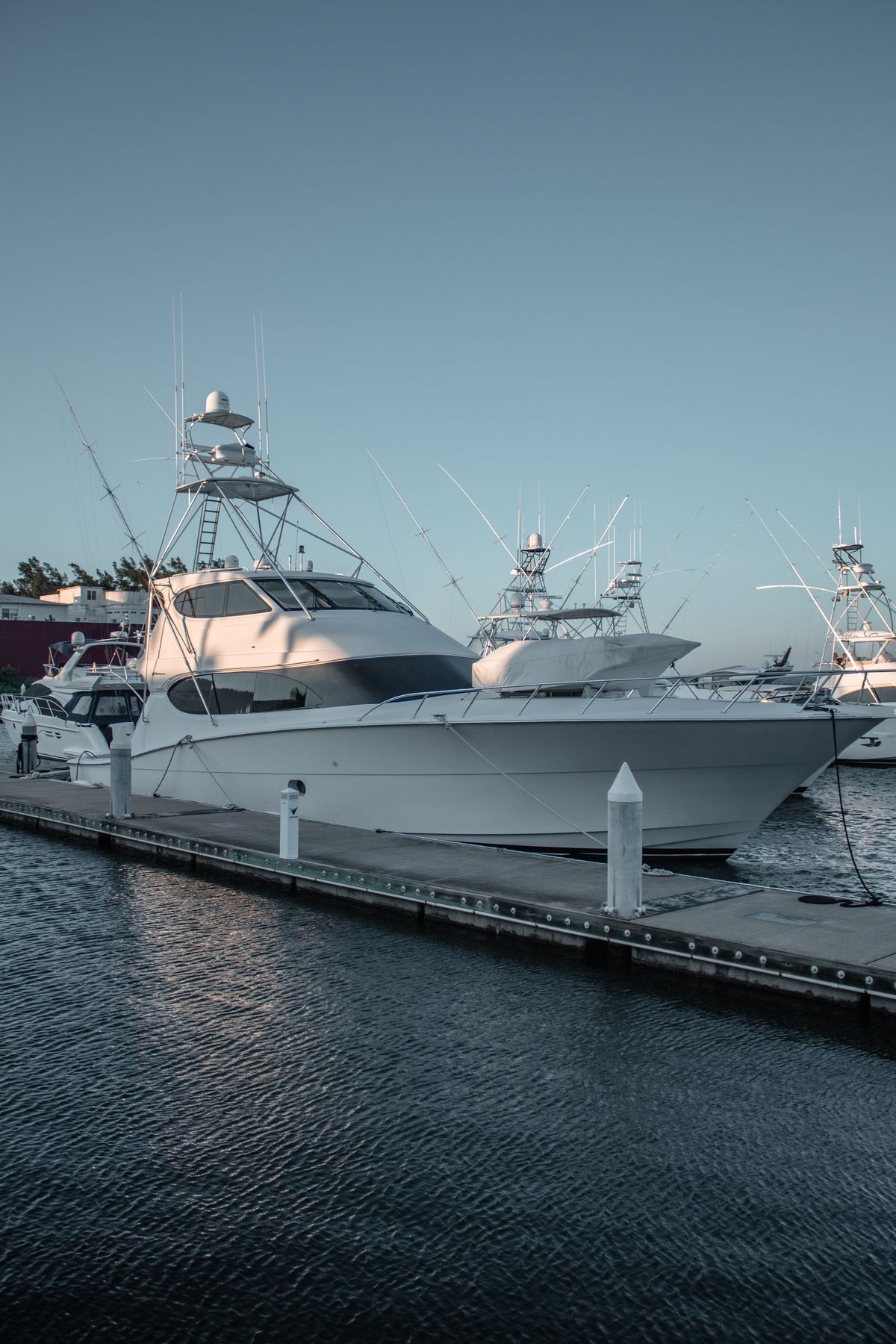 Motor yachts moored along a marina dock at dusk